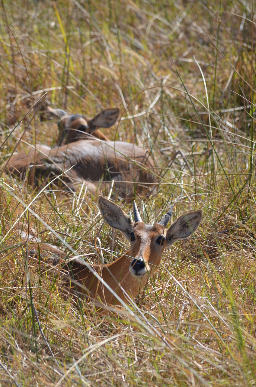 [17704] 2016_06_28_01_28_22_Africa_NIKON_D5100_IMG__05031.jpg