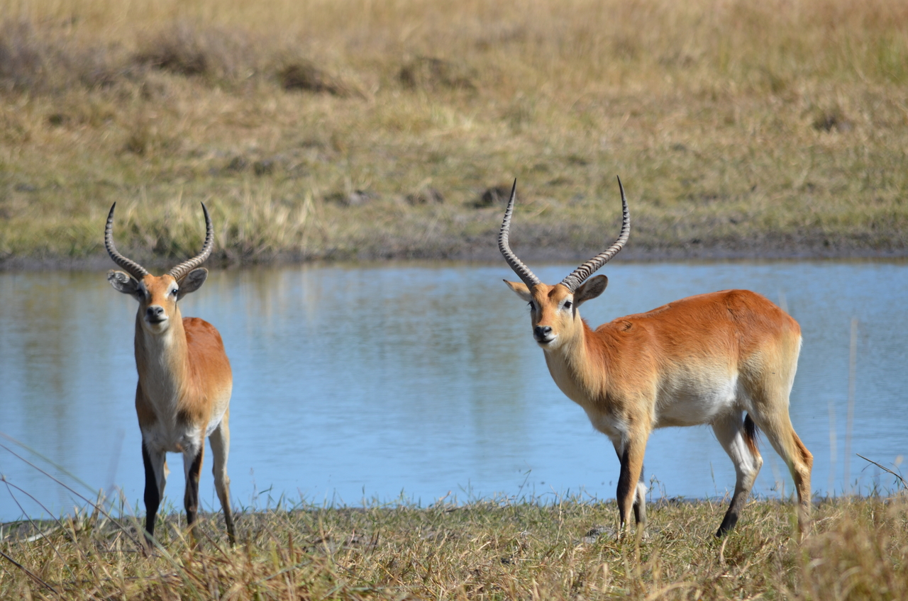[17718] 2016_06_28_01_41_50_Africa_NIKON_D5100_IMG__00412.jpg