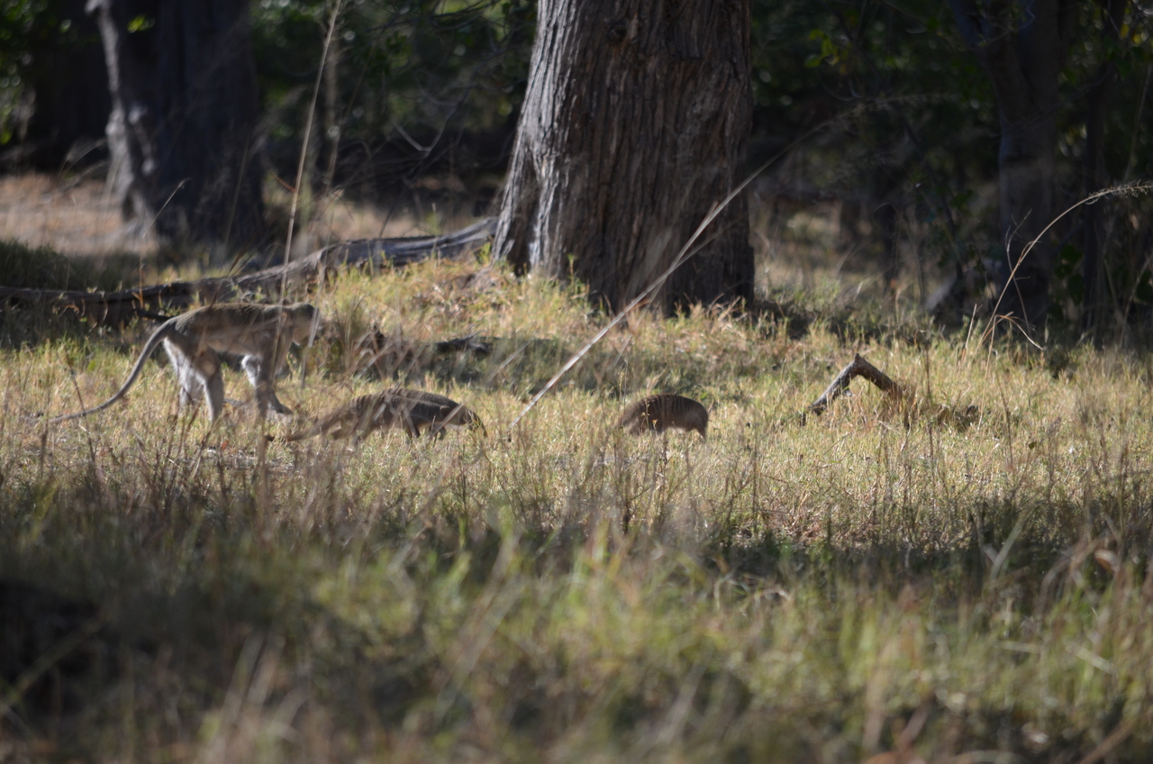 [20475] 2016_06_28_23_21_09_Africa_NIKON_D5100_IMG__00421.jpg
