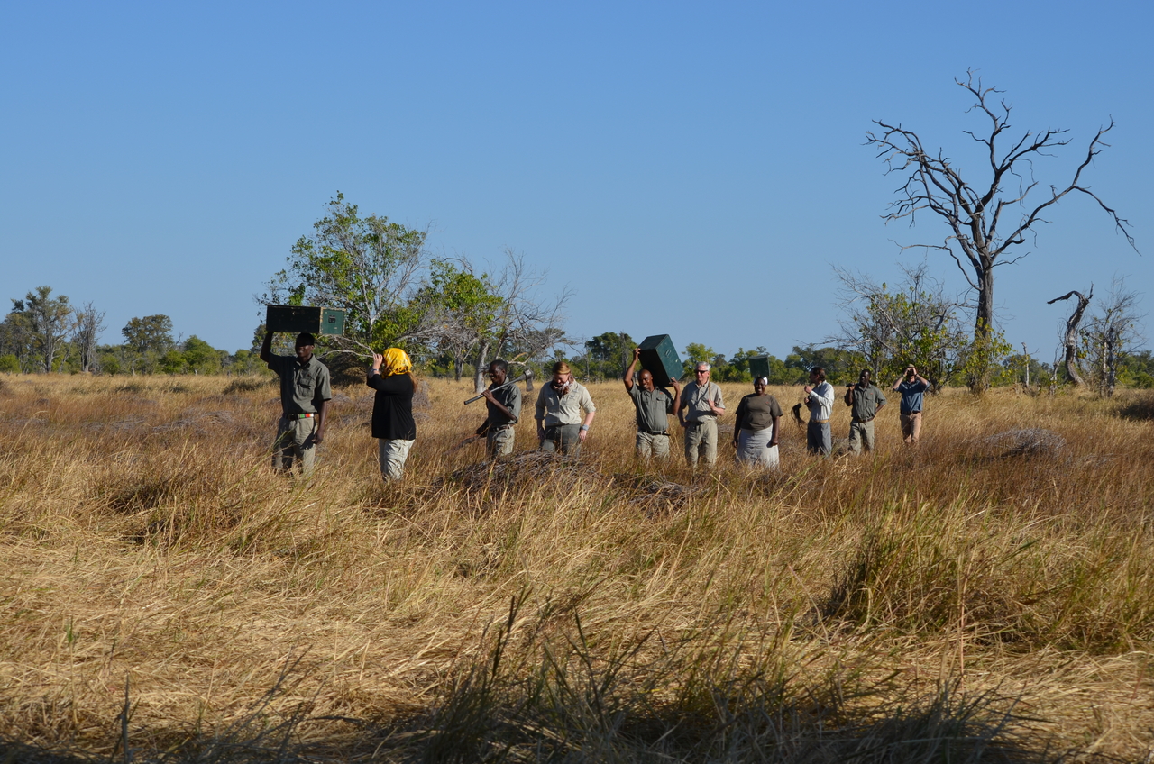 [21254] 2016_06_29_06_07_06_Africa_NIKON_D5100_IMG__00431.jpg