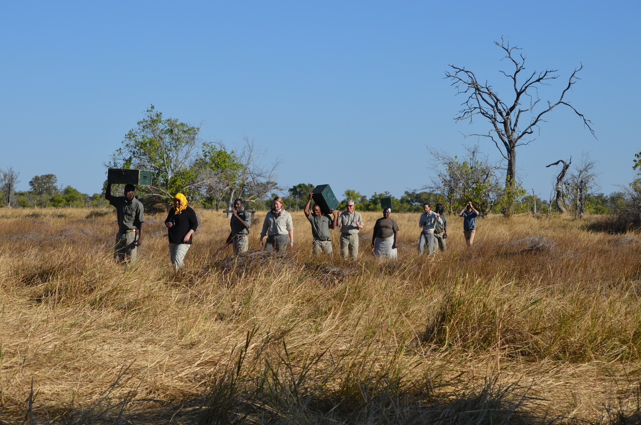 [21257] 2016_06_29_06_07_18_Africa_NIKON_D5100_IMG__05054.jpg