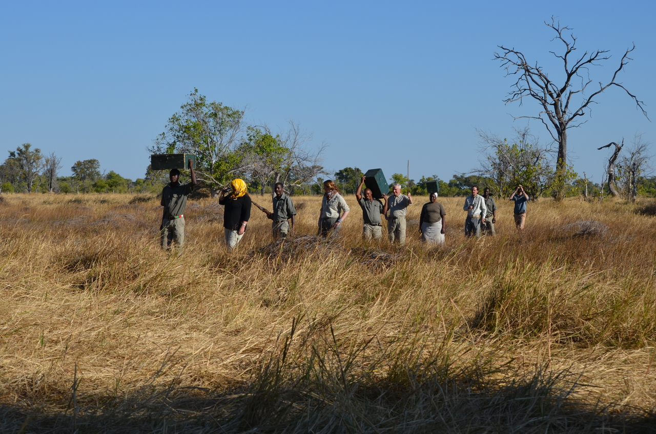 [21261] 2016_06_29_06_08_21_Africa_NIKON_D5100_IMG__05056.jpg