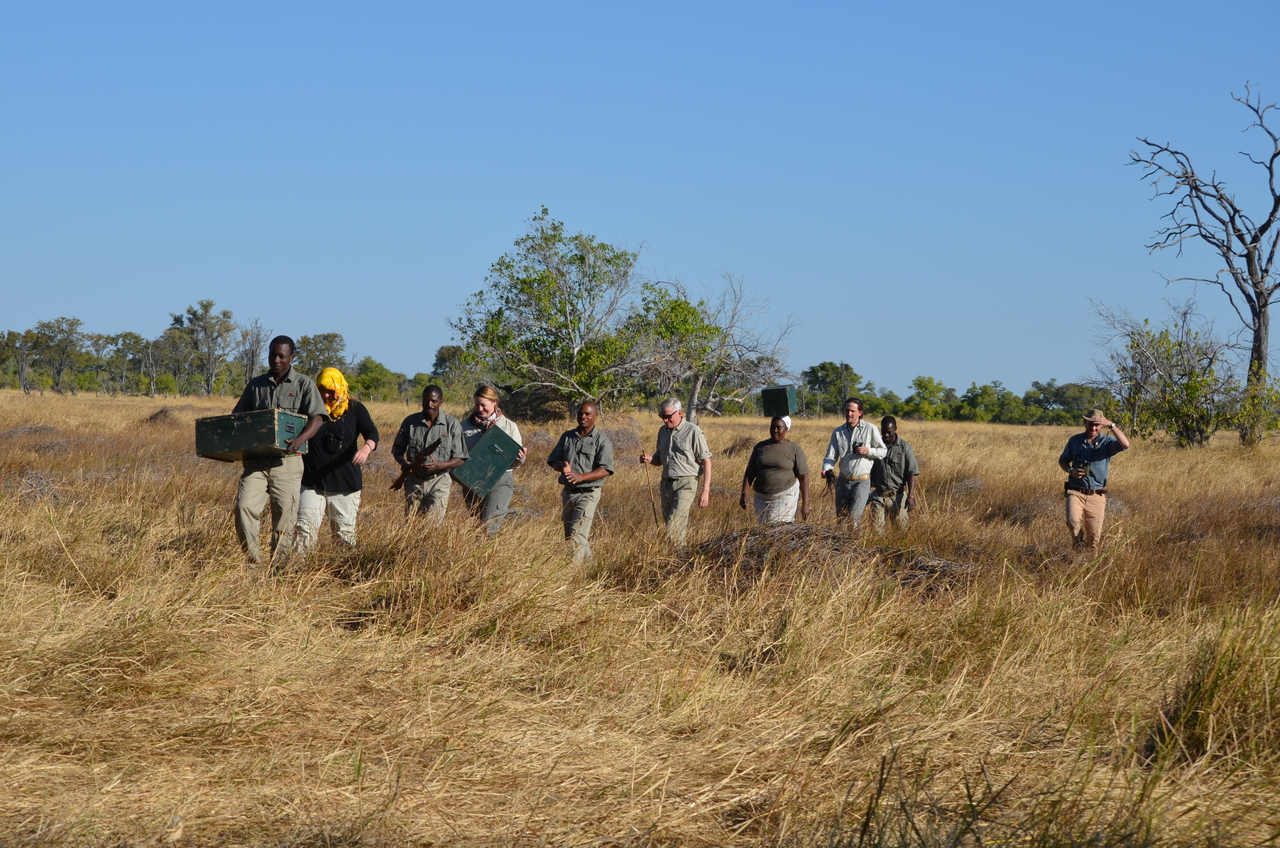 [21266] 2016_06_29_06_08_59_Africa_NIKON_D5100_IMG__00437.jpg