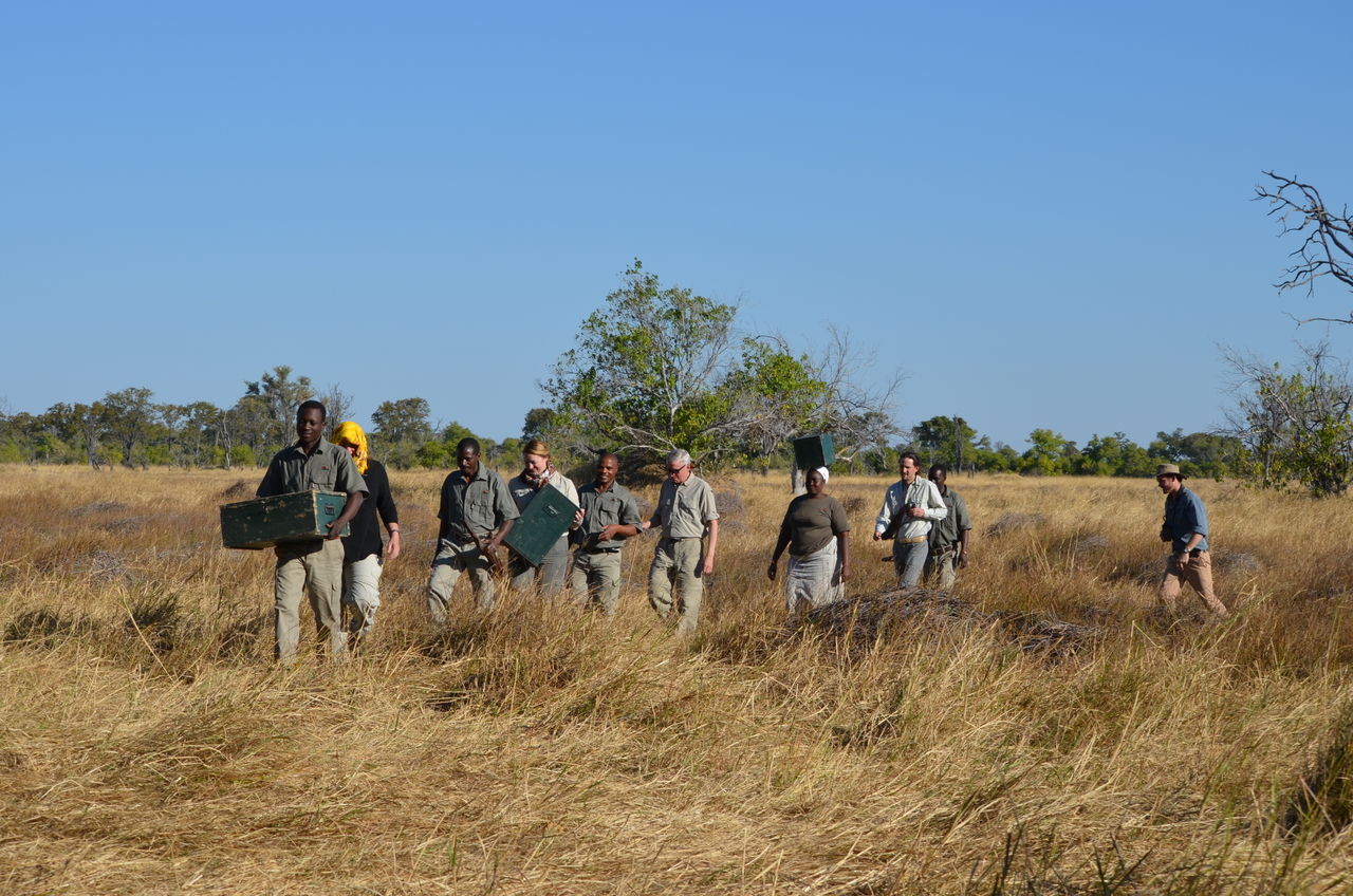 [21268] 2016_06_29_06_09_01_Africa_NIKON_D5100_IMG__00438.jpg