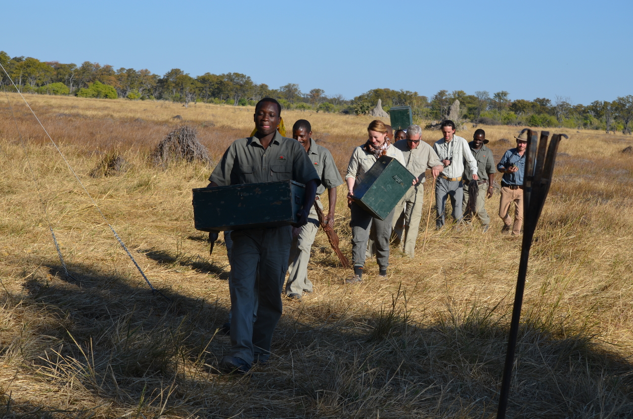 [21274] 2016_06_29_06_09_18_Africa_NIKON_D5100_IMG__00441.jpg