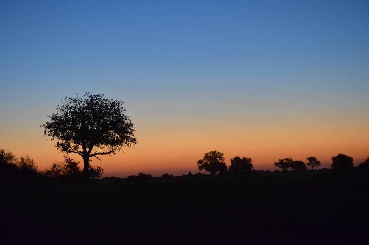 [21437] 2016_06_29_08_38_07_Africa_NIKON_D5100_IMG__00507.jpg