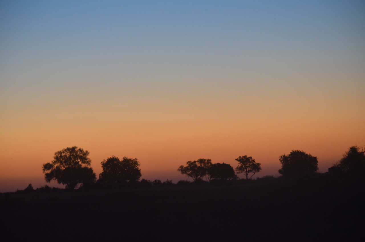 [21440] 2016_06_29_08_38_15_Africa_NIKON_D5100_IMG__05130.jpg