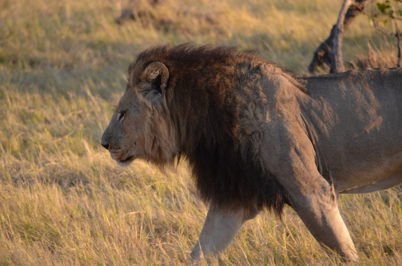 [22287] 2016_06_29_21_47_28_Africa_NIKON_D5100_IMG__05137.jpg