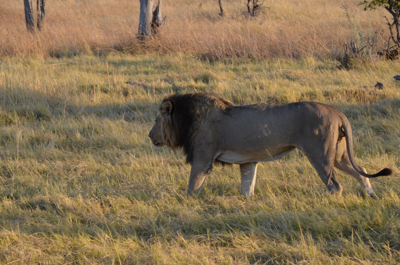 [22289] 2016_06_29_21_48_36_Africa_NIKON_D5100_IMG__05138.jpg