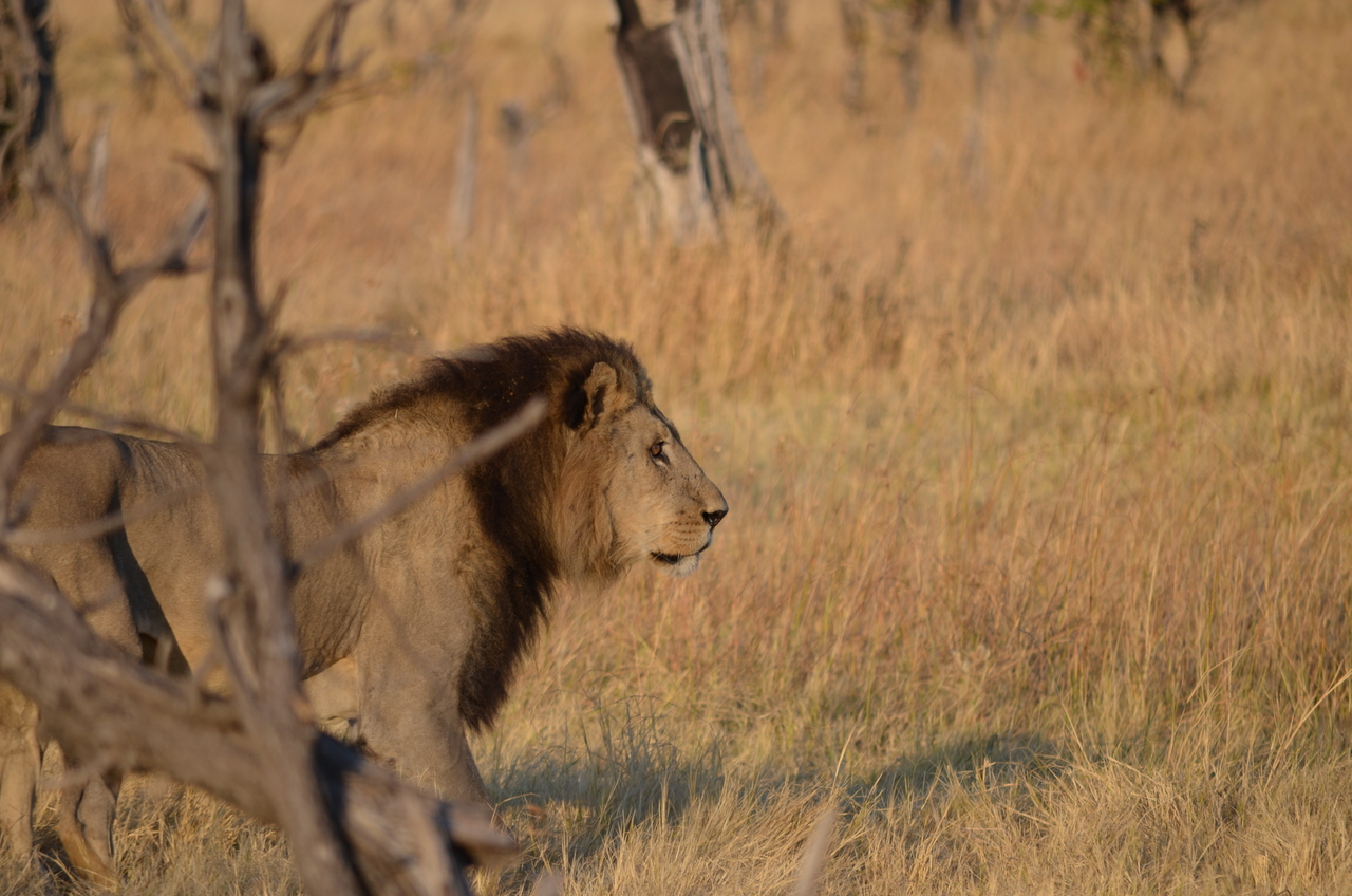 [22296] 2016_06_29_21_52_01_Africa_NIKON_D5100_IMG__00520.jpg