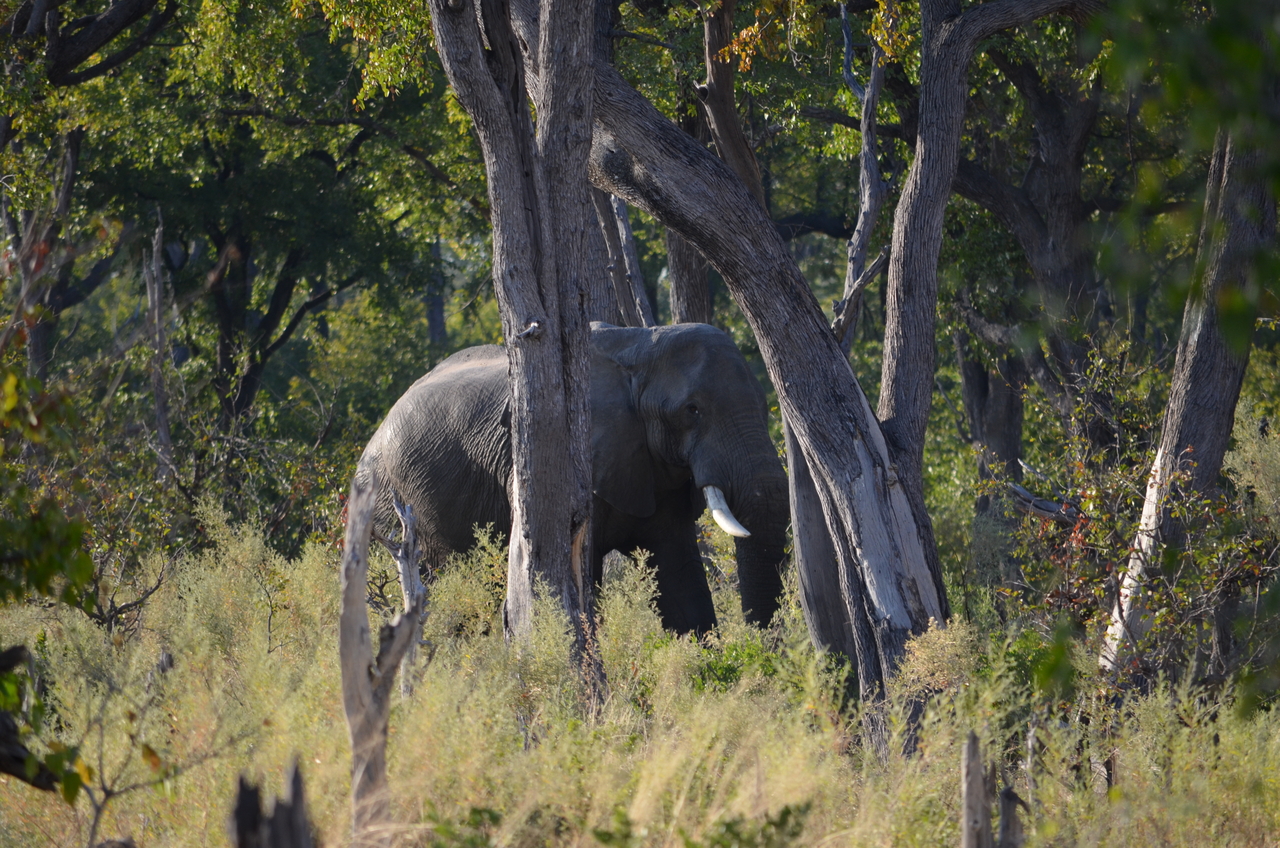[22301] 2016_06_29_22_17_55_Africa_NIKON_D5100_IMG__05144.jpg