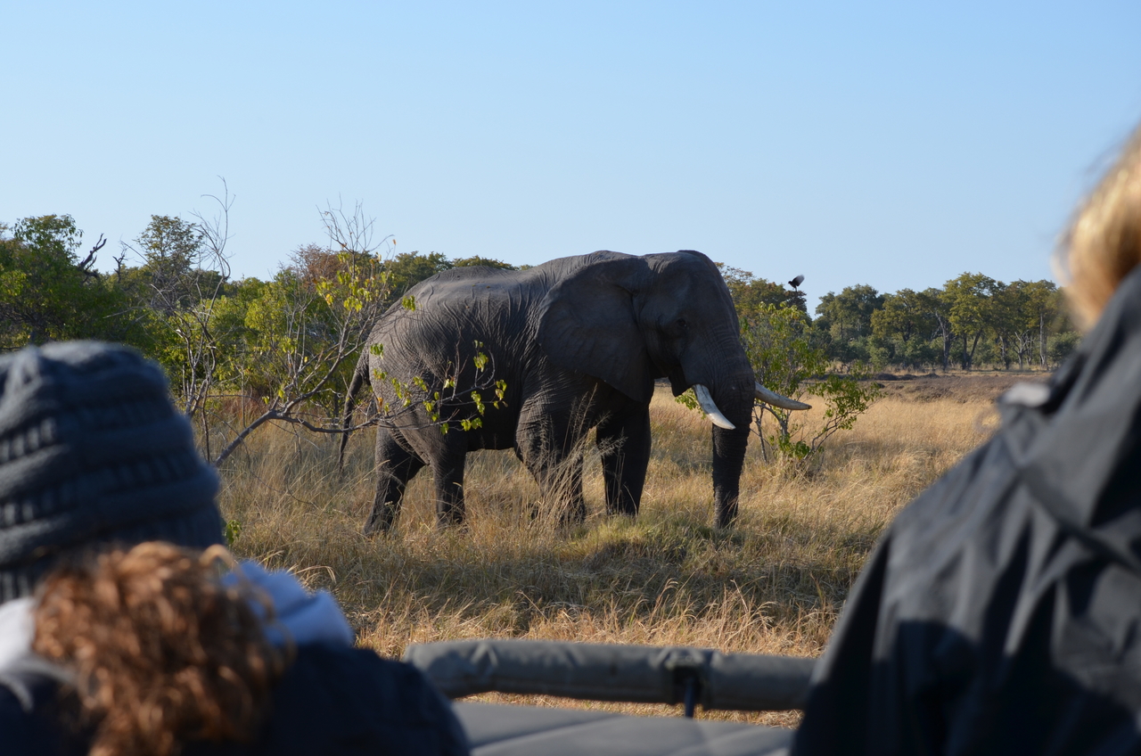 [22309] 2016_06_29_22_39_07_Africa_NIKON_D5100_IMG__05148.jpg