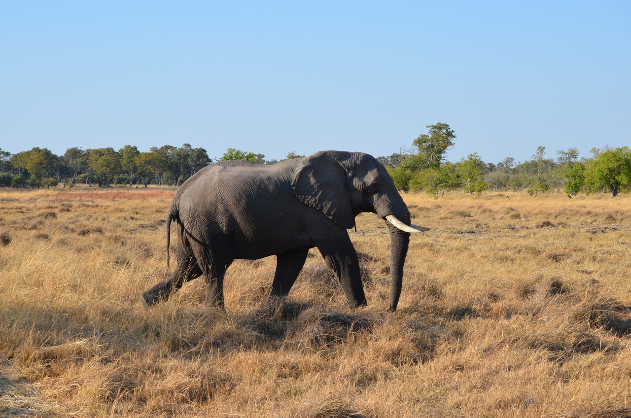[22315] 2016_06_29_22_39_17_Africa_NIKON_D5100_IMG__05151.jpg