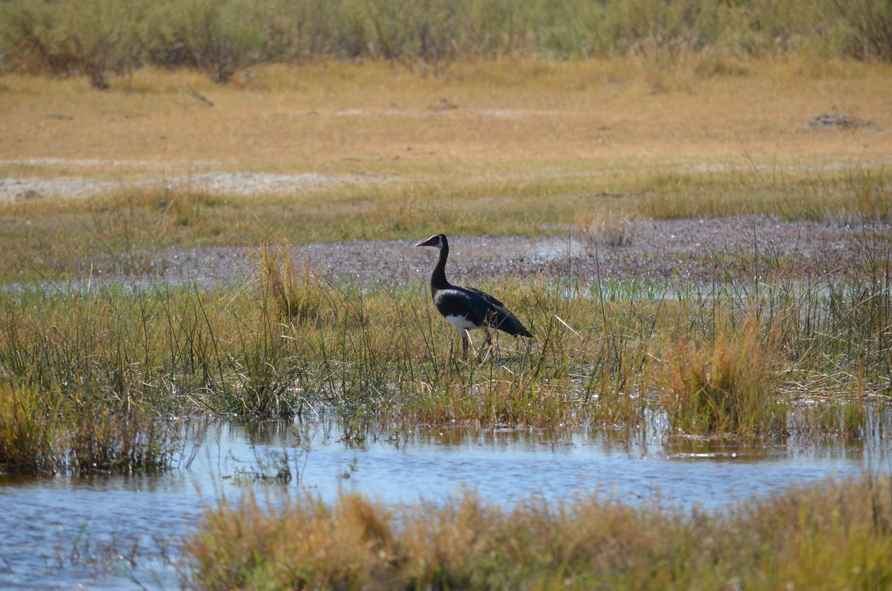[22582] 2016_06_30_01_34_12_Africa_NIKON_D5100_IMG__05212.jpg