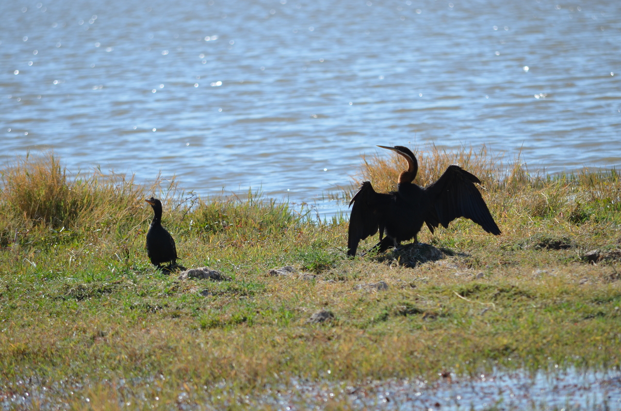 [22590] 2016_06_30_01_35_46_Africa_NIKON_D5100_IMG__05216.jpg