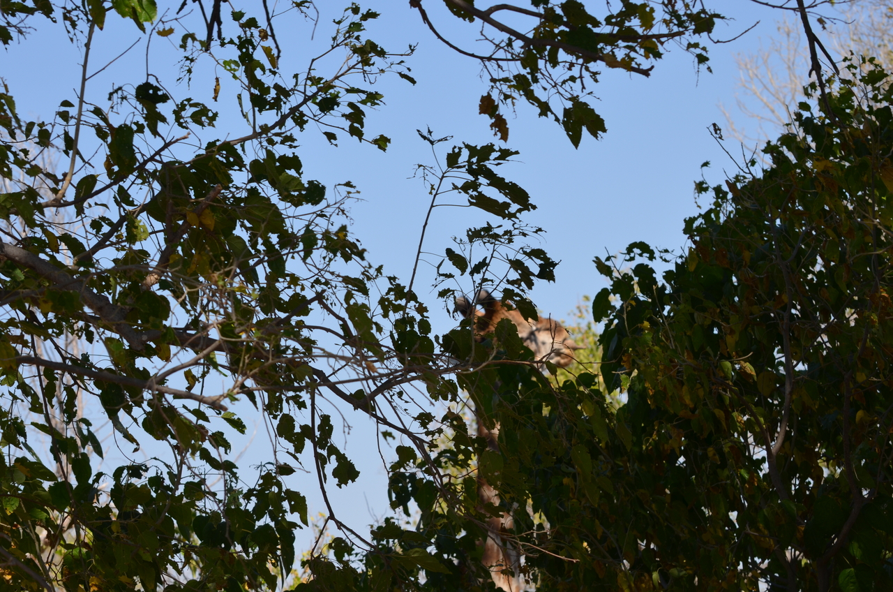 [23162] 2016_06_30_02_39_12_Africa_NIKON_D5100_IMG__05268.jpg