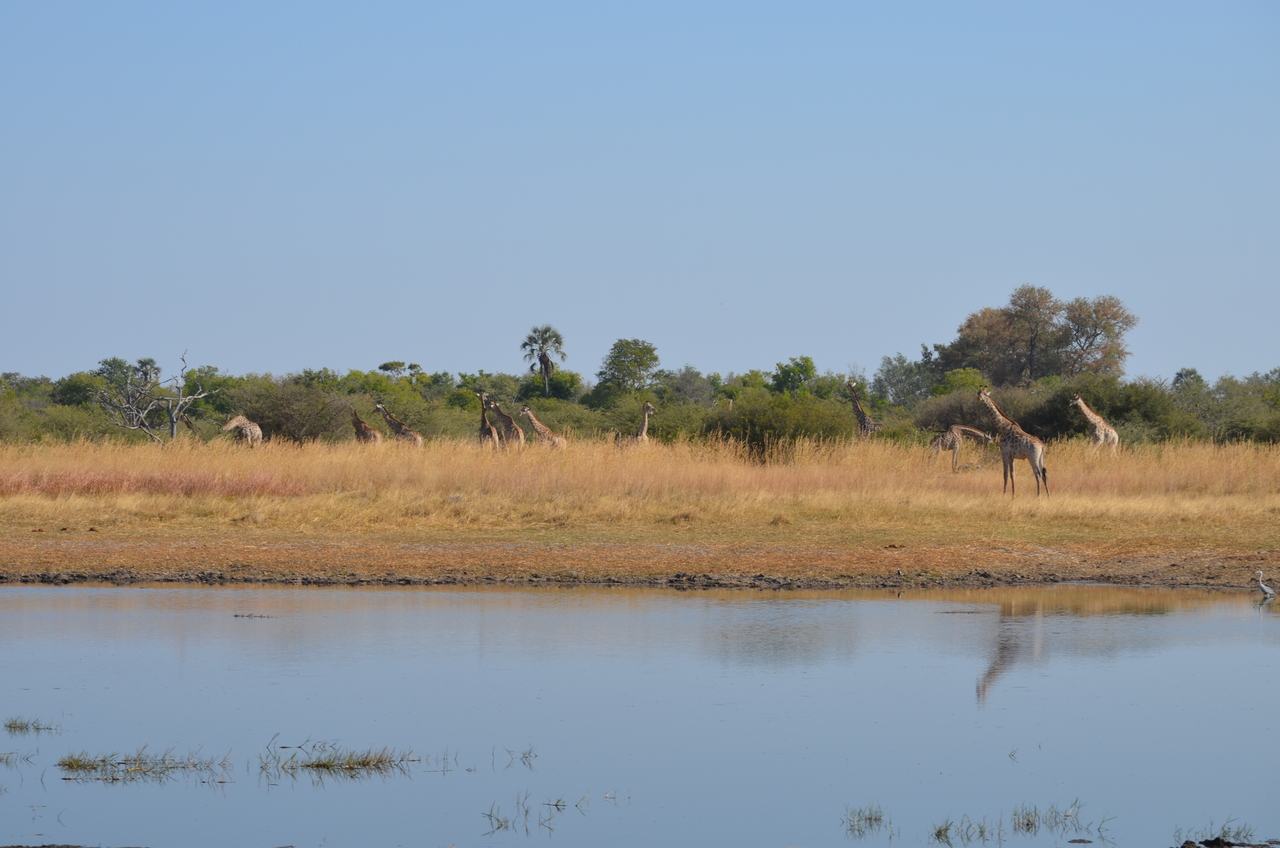 [23735] 2016_06_30_05_07_43_Africa_NIKON_D5100_IMG__05322.jpg