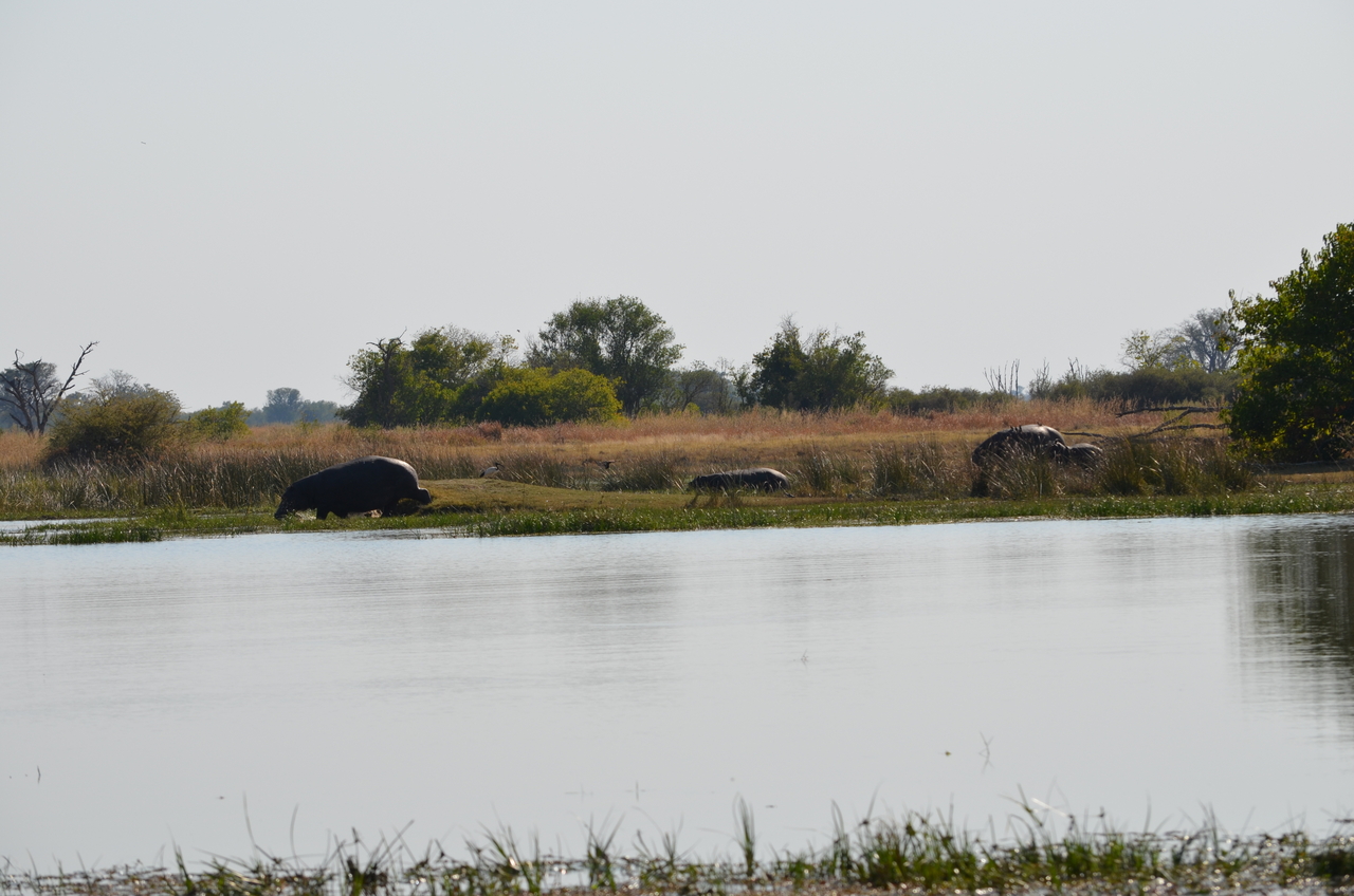 [23786] 2016_06_30_05_18_45_Africa_NIKON_D5100_IMG__05337.jpg