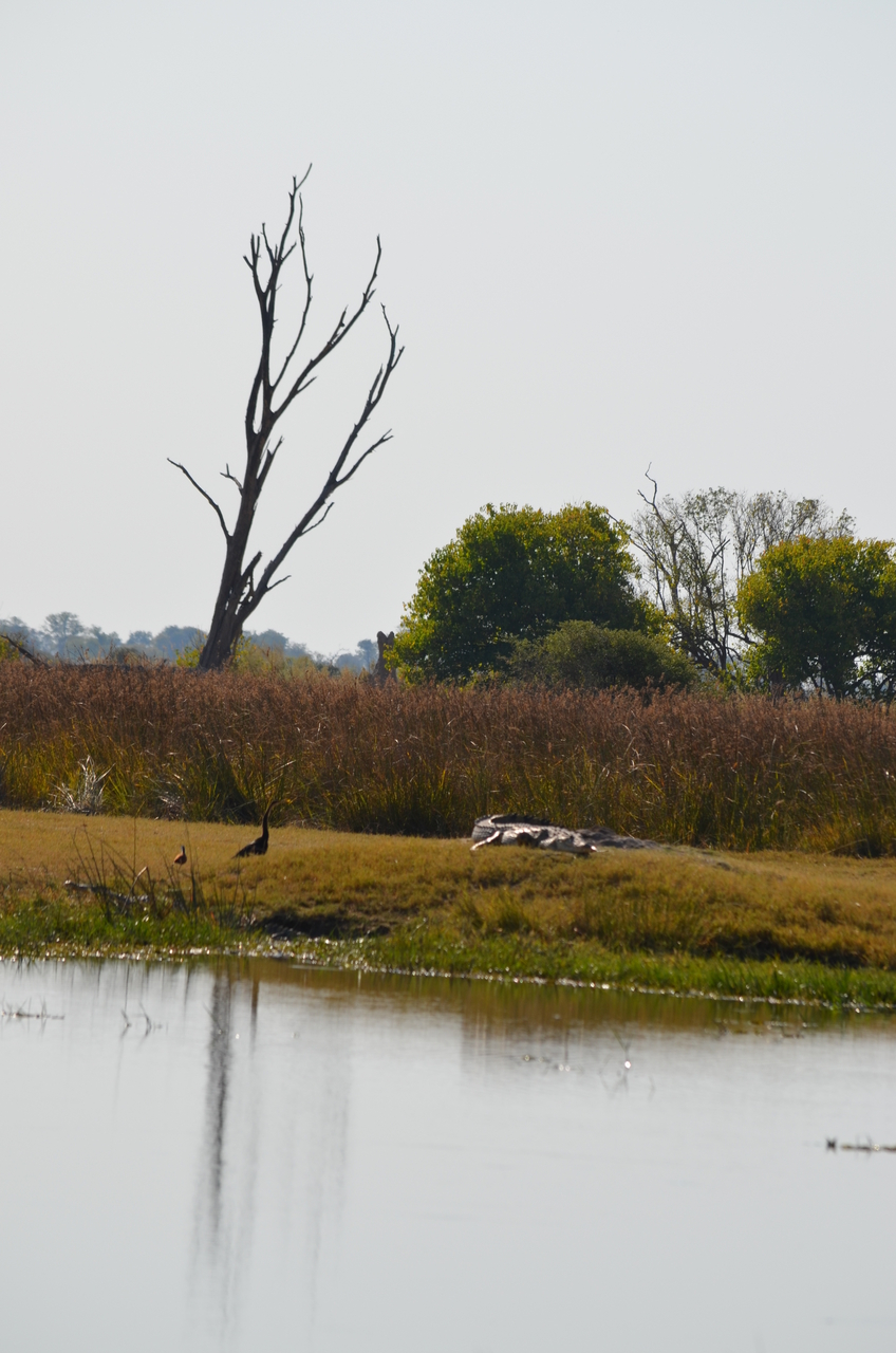 [23802] 2016_06_30_05_19_55_Africa_NIKON_D5100_IMG__00716.jpg