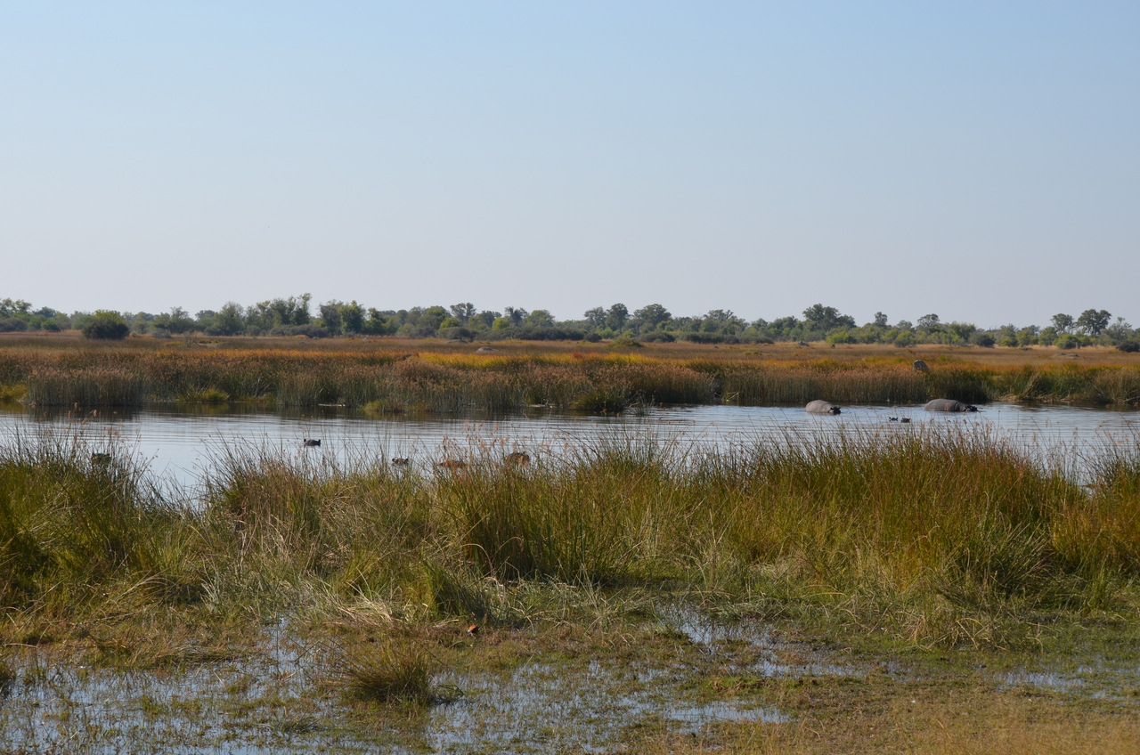 [23926] 2016_06_30_05_27_40_Africa_NIKON_D5100_IMG__05341.jpg