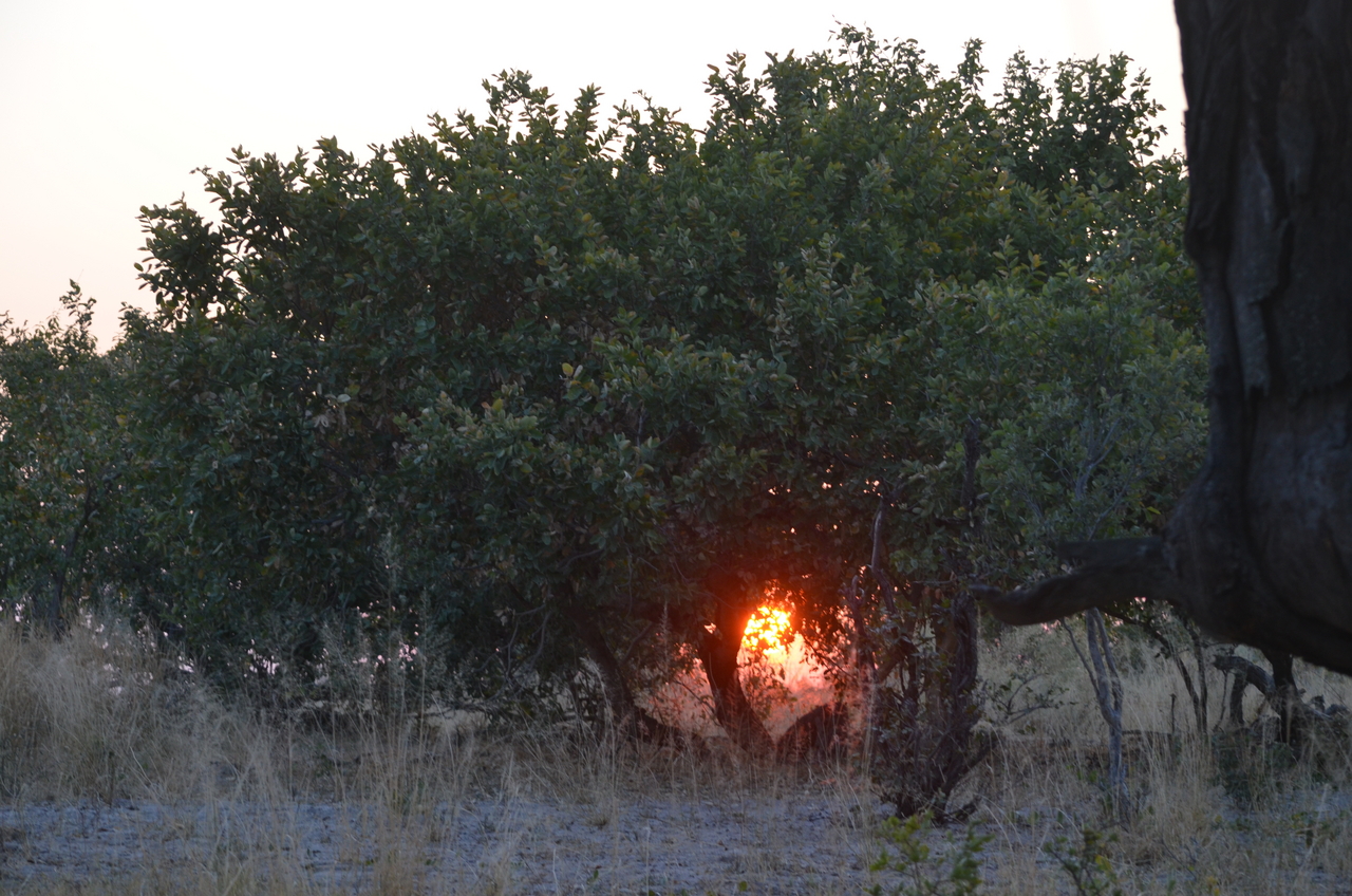 [24648] 2016_06_30_08_02_52_Africa_NIKON_D5100_IMG__05366.jpg