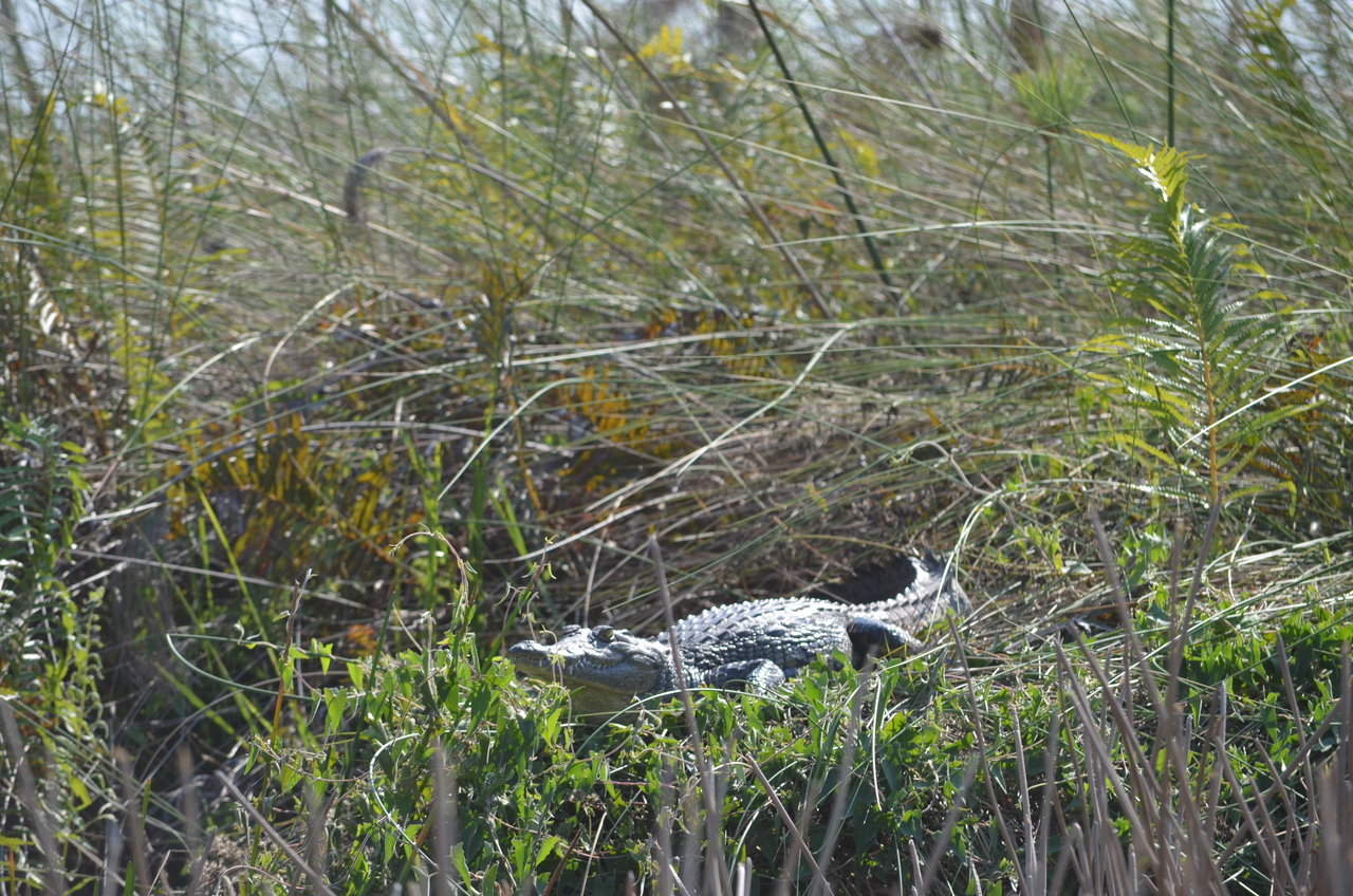 [26684] 2016_07_01_01_11_14_Africa_NIKON_D5100_IMG__00754.jpg