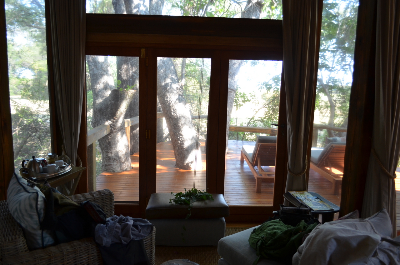 [26702] 2016_07_01_04_28_23_Africa_NIKON_D5100_IMG__00763.jpg