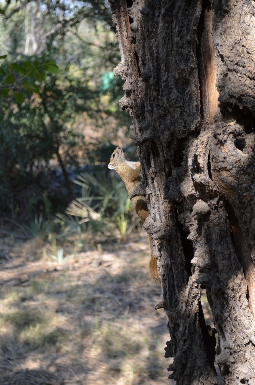 [26709] 2016_07_01_04_30_57_Africa_NIKON_D5100_IMG__05388.jpg