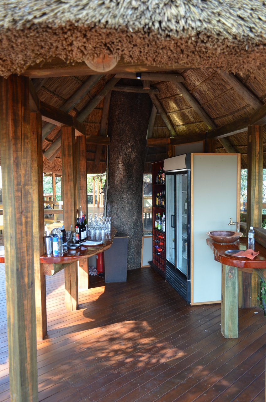 [26713] 2016_07_01_04_35_07_Africa_NIKON_D5100_IMG__05390.jpg