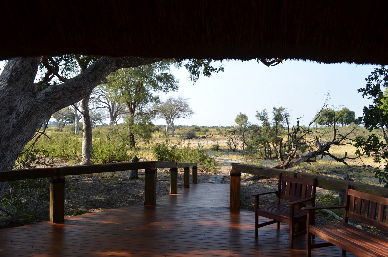 [26744] 2016_07_01_05_04_40_Africa_NIKON_D5100_IMG__00784.jpg