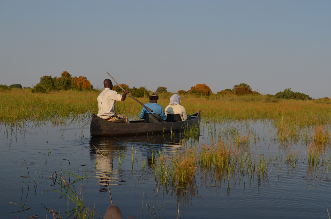 [26762] 2016_07_01_06_31_39_Africa_NIKON_D5100_IMG__00793.jpg
