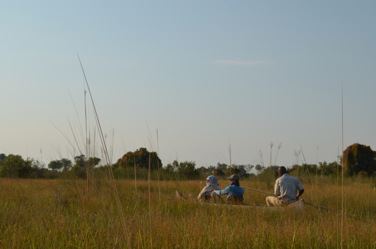 [26786] 2016_07_01_06_38_37_Africa_NIKON_D5100_IMG__00805.jpg