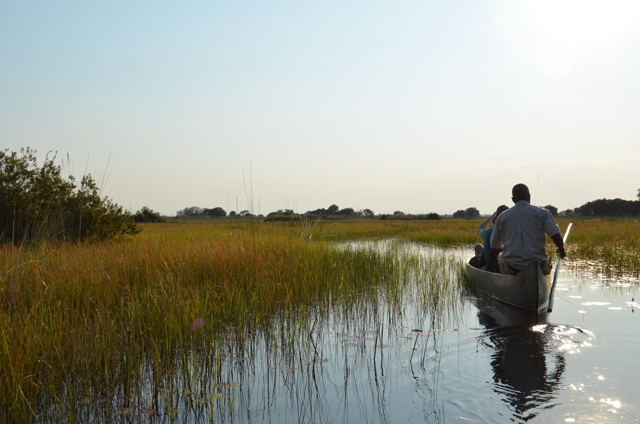[26811] 2016_07_01_06_39_50_Africa_NIKON_D5100_IMG__05439.jpg