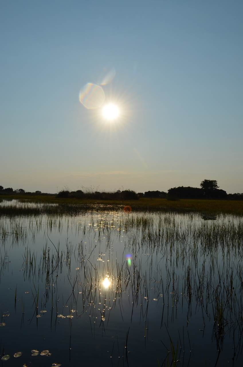 [26814] 2016_07_01_06_49_15_Africa_NIKON_D5100_IMG__00819.jpg