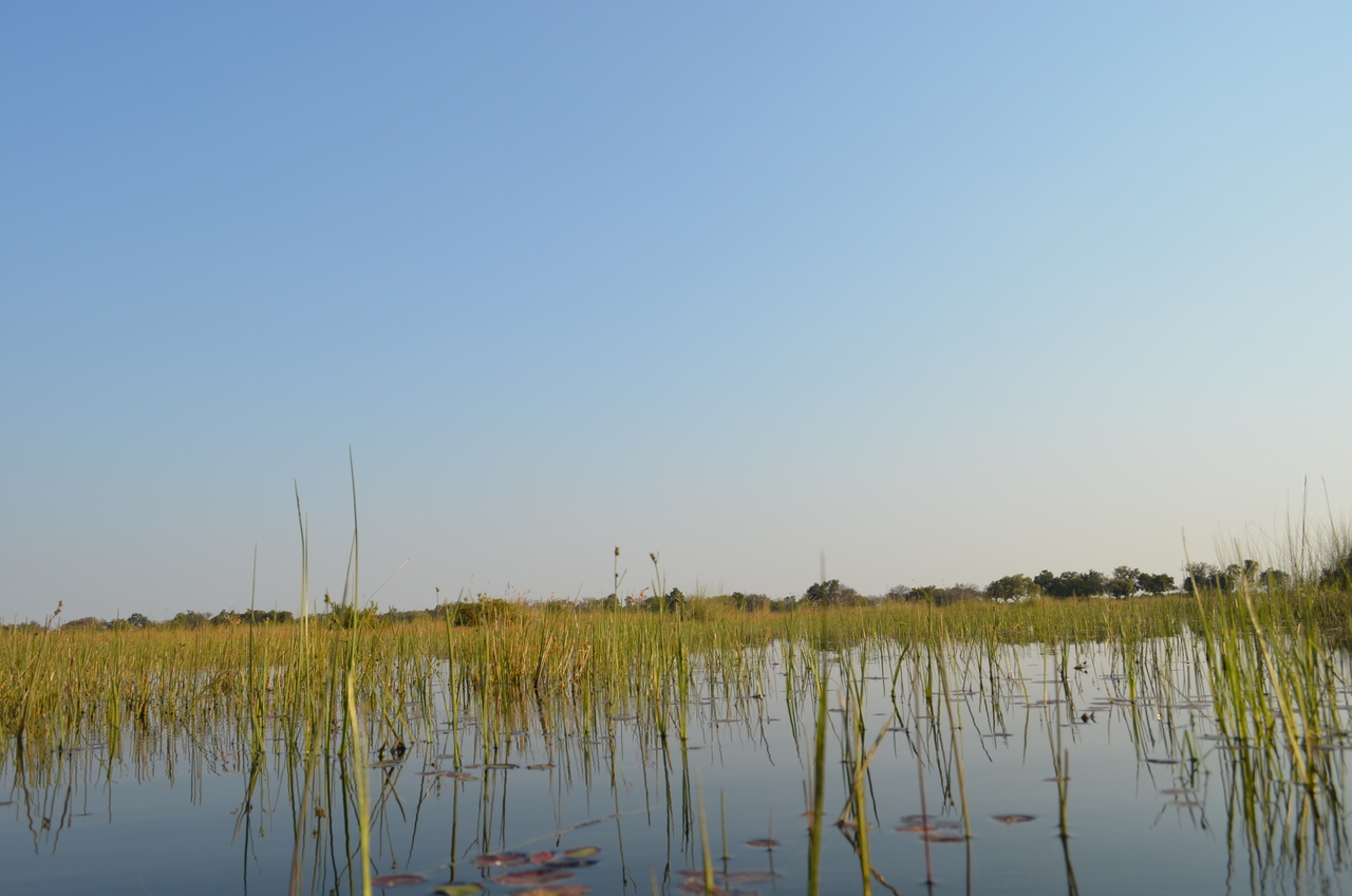 [26821] 2016_07_01_06_49_49_Africa_NIKON_D5100_IMG__05444.jpg