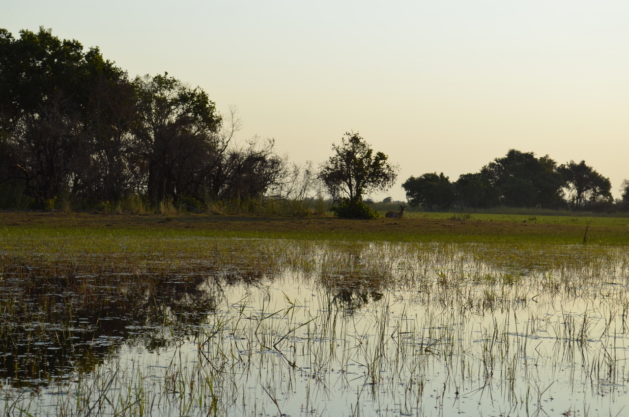 [26848] 2016_07_01_07_18_25_Africa_NIKON_D5100_IMG__00836.jpg