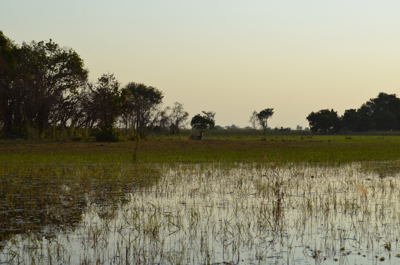 [26852] 2016_07_01_07_19_01_Africa_NIKON_D5100_IMG__00838.jpg