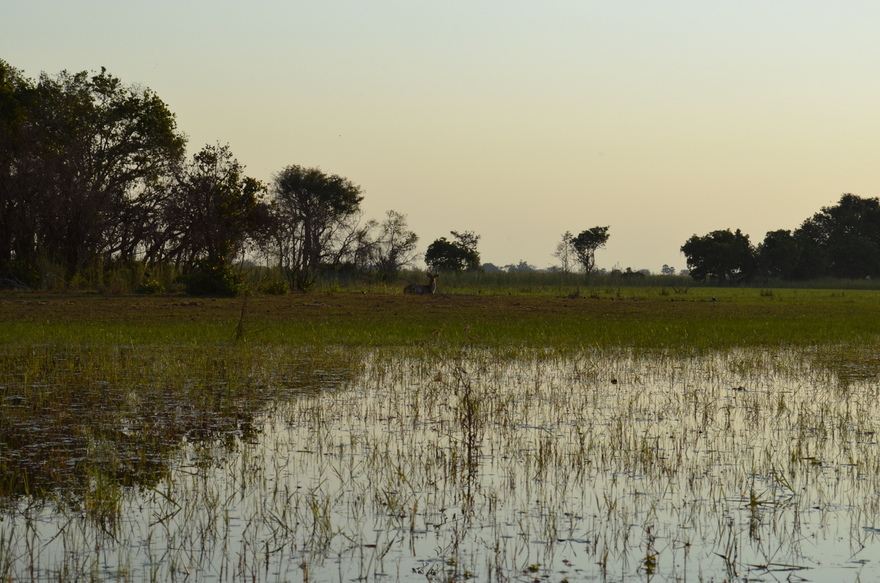 [26854] 2016_07_01_07_19_03_Africa_NIKON_D5100_IMG__00839.jpg