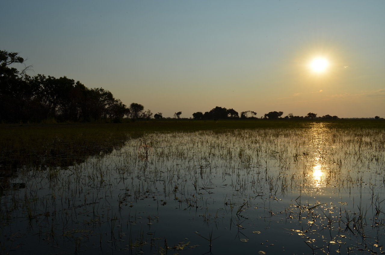 [26868] 2016_07_01_07_22_30_Africa_NIKON_D5100_IMG__00846.jpg