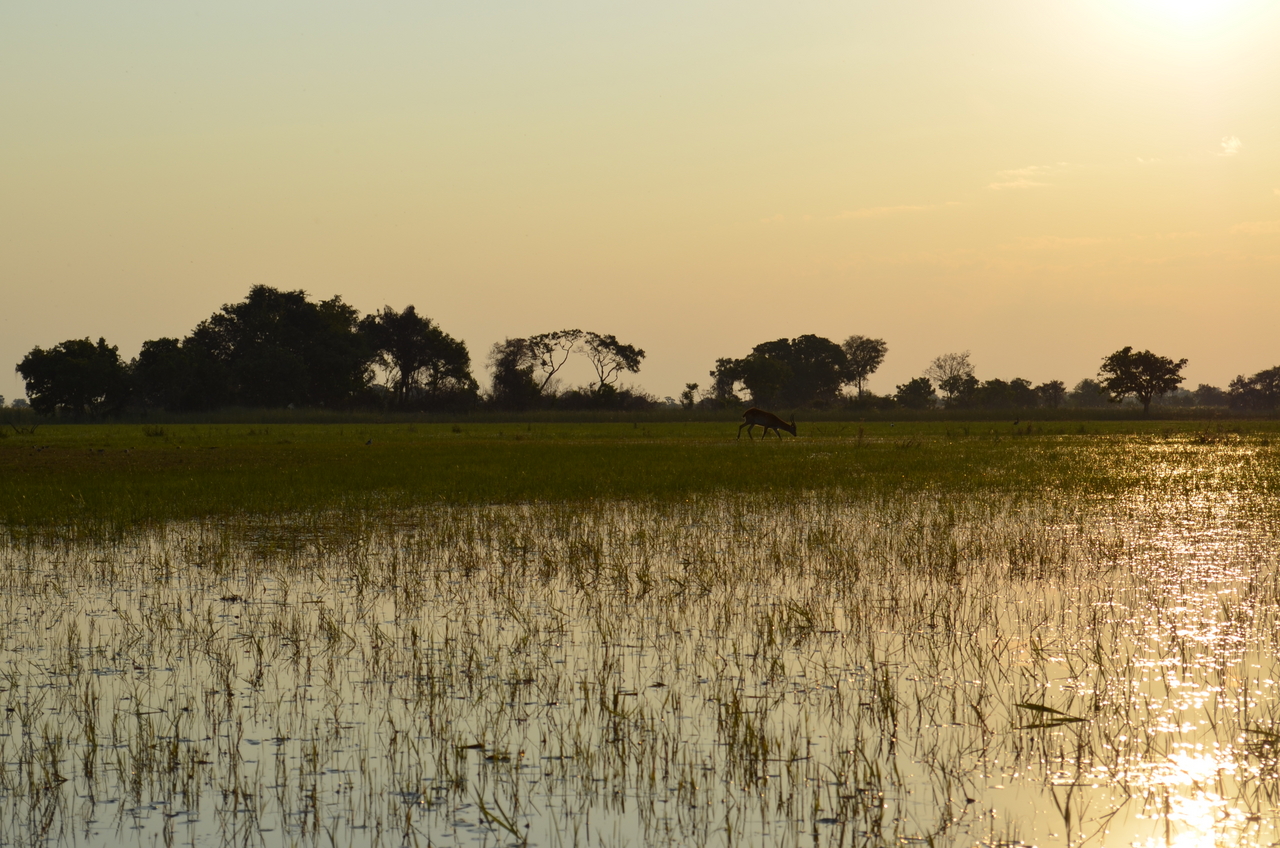 [26877] 2016_07_01_07_23_04_Africa_NIKON_D5100_IMG__05472.jpg