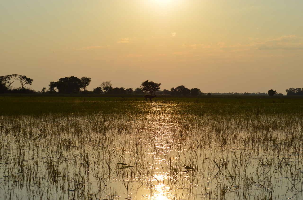 [26878] 2016_07_01_07_23_20_Africa_NIKON_D5100_IMG__00851.jpg