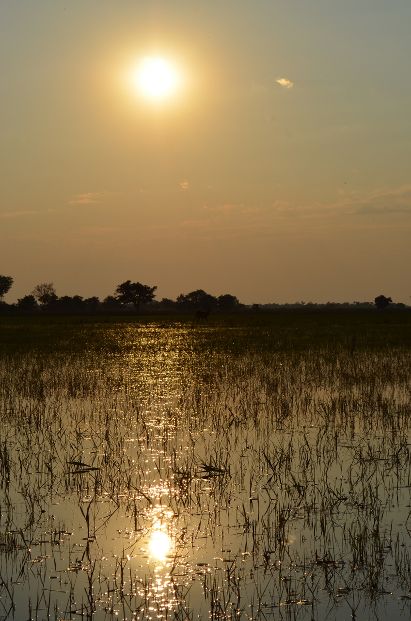 [26883] 2016_07_01_07_23_32_Africa_NIKON_D5100_IMG__05475.jpg