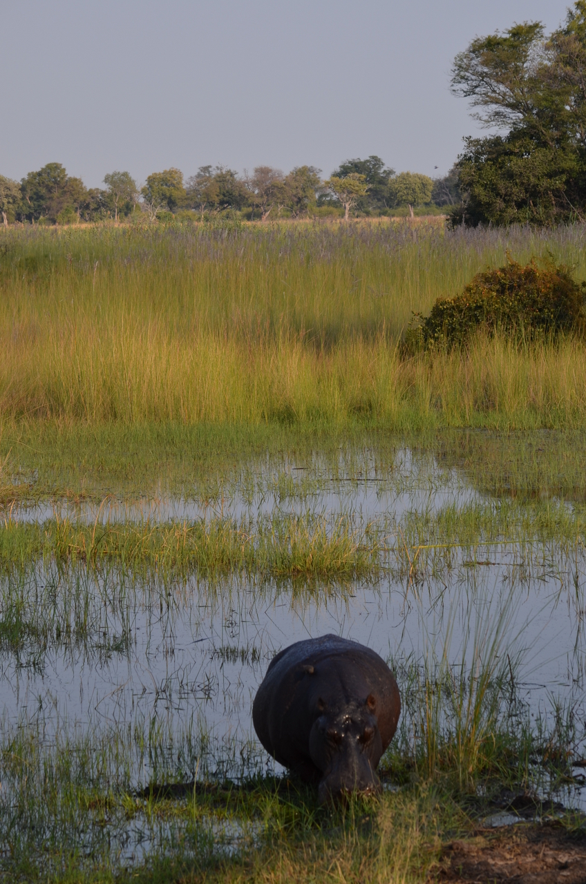 [27508] 2016_07_01_22_58_42_Africa_NIKON_D5100_IMG__00870.jpg