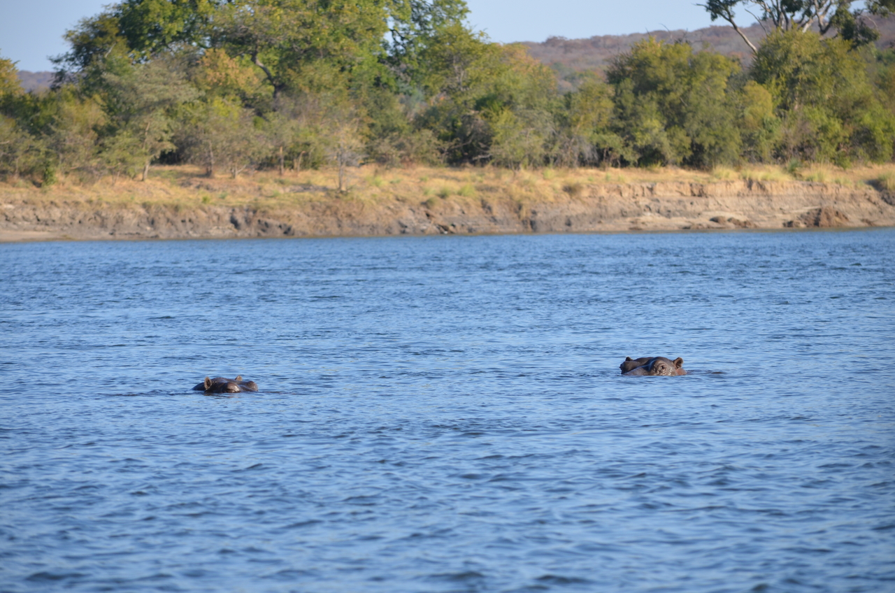 [27823] 2016_07_02_06_28_27_Africa_NIKON_D5100_IMG__00879.jpg
