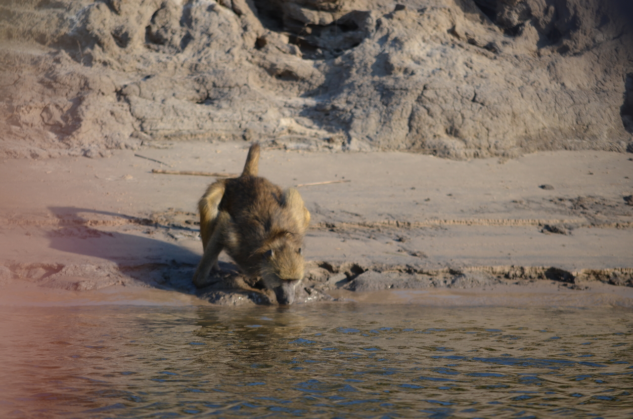 [27826] 2016_07_02_06_38_22_Africa_NIKON_D5100_IMG__05502.jpg