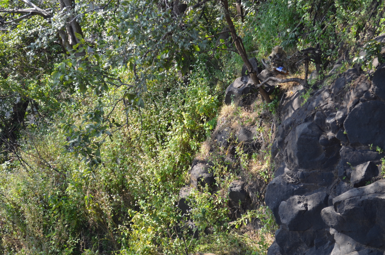 [28882] 2016_07_03_00_01_34_Africa_NIKON_D5100_IMG__00912.jpg