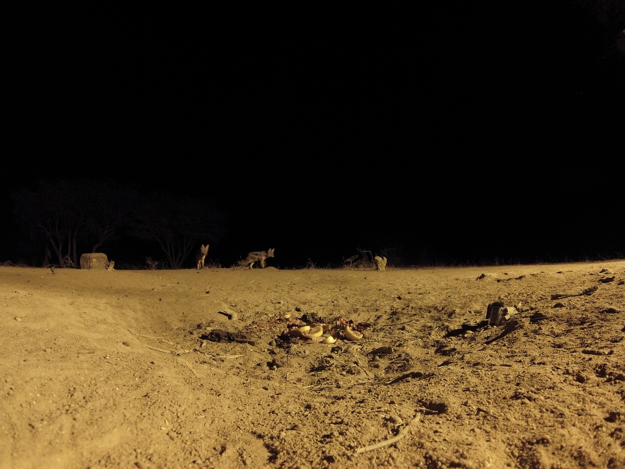 [3823] 2016_06_22_20_45_02_Africa_Hero3-Silver_Edition_IMG__00468.jpg