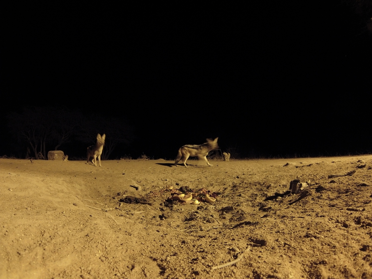 [3836] 2016_06_22_20_45_24_Africa_Hero3-Silver_Edition_IMG__00027.jpg