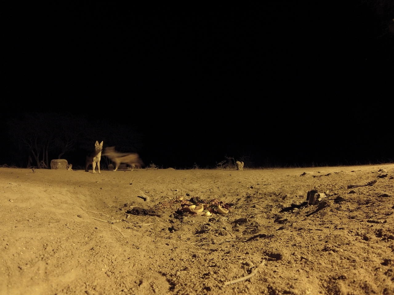 [3838] 2016_06_22_20_45_26_Africa_Hero3-Silver_Edition_IMG__00028.jpg