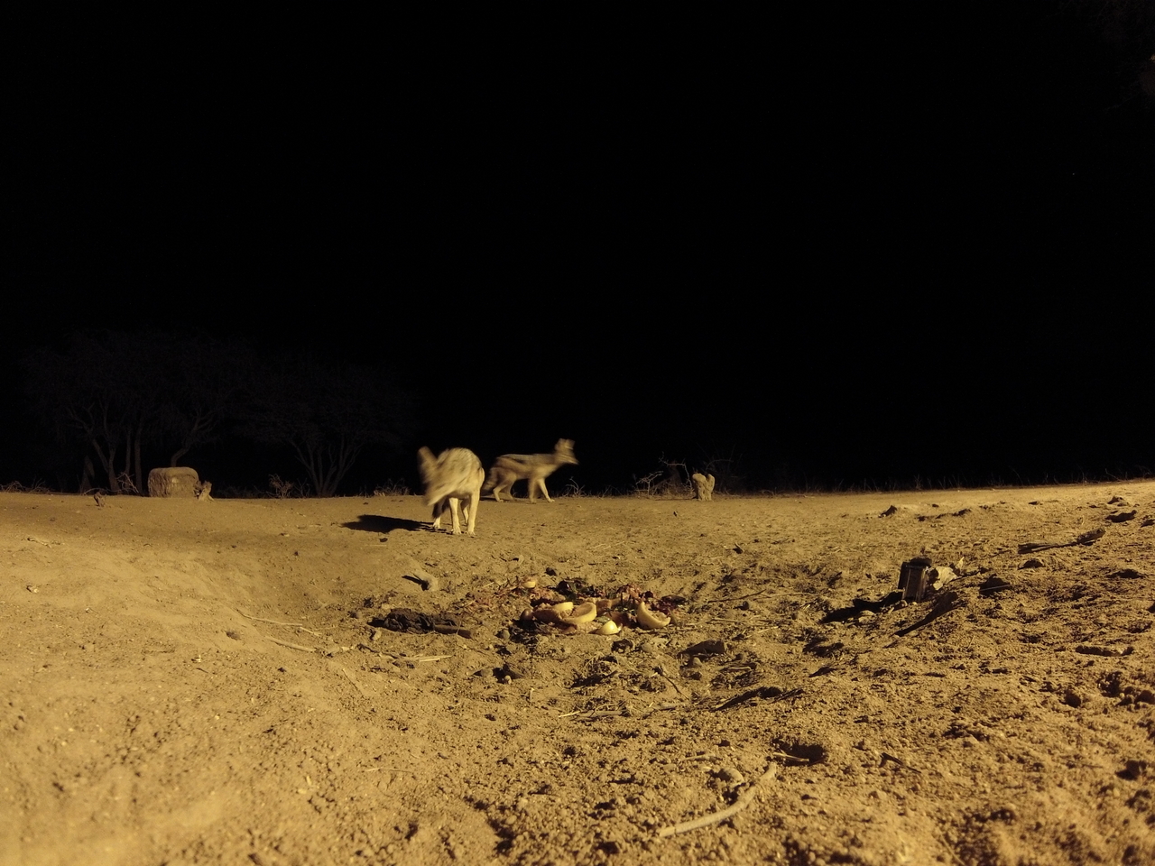 [3843] 2016_06_22_20_45_34_Africa_Hero3-Silver_Edition_IMG__00478.jpg